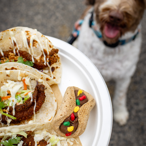 Taco Tuesday (3D Taco) | Woof it Down