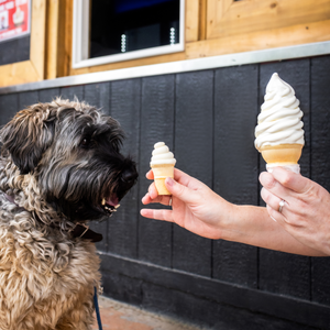Lick Me Til Ice Cream