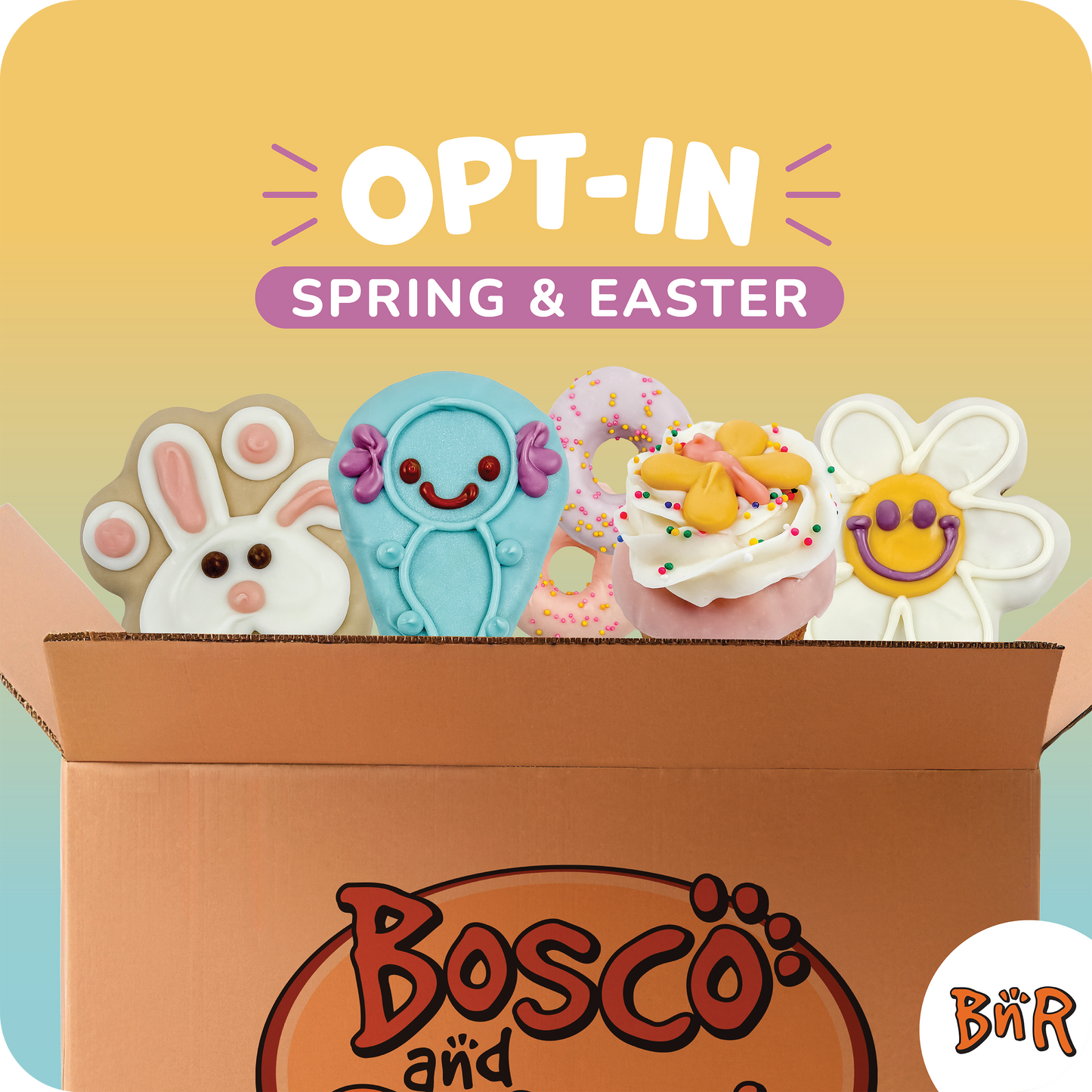 BNR Refill Program 2026 | Easter & Spring