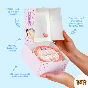 Giant Pink Cake | Birthday