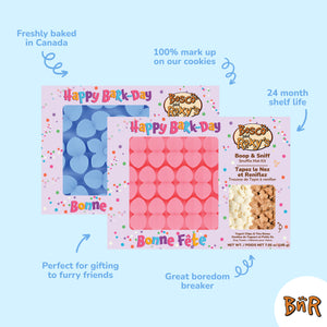Blue Circle Snuffle Mat Kit | Birthday