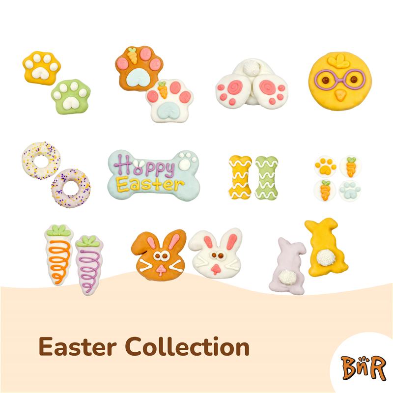 Hoppy Easter Bone | Easter