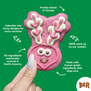 Peppermint Flavoured Swirl Candies | Farm Fresh