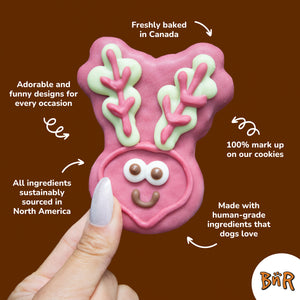 Equestrian Necessities | Cowboy