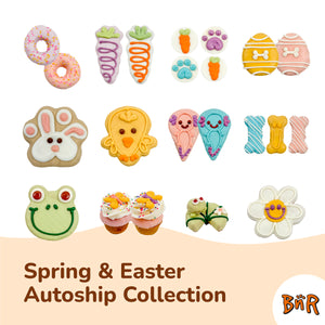 BNR Refill Program 2026 | Easter & Spring