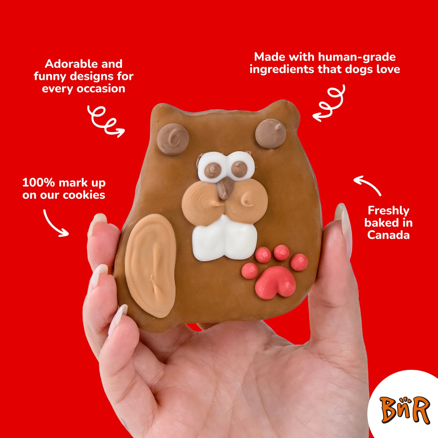Beavertail Buddy | Canada Day