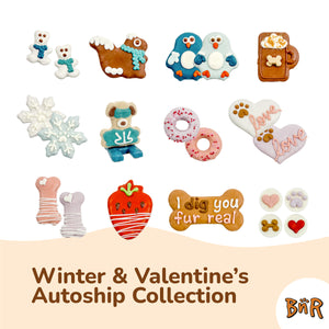 BNR Refill Program 2026 | Winter & Valentine's Day