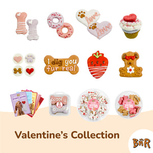 Fur-Ever Valentine Pack | Valentine's Day