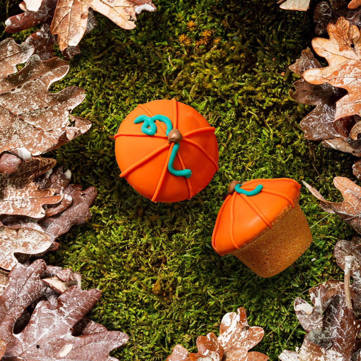 Let's Give 'Em Pumpkin To Talk About | Fall (case)