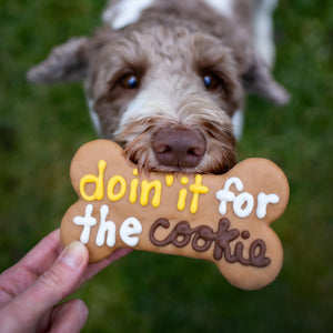 Doin' It For The Cookie 6" Bone | Canine Classics