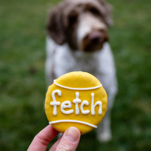Epic Fetch Ball | Canine Classics