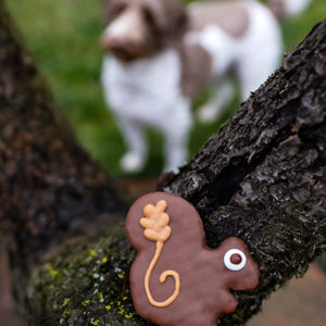 Feeling Squirrely | Canine Classics