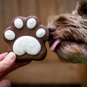 Paws Off My Cookie | Canine Classics