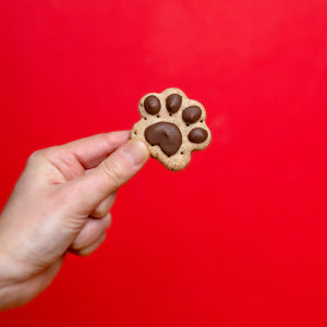 Mini Paws | Canine Classics