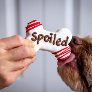 Spoiled Pup 4" Chubby Bone | Canine Classics