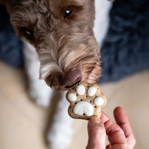Mini Paws | Canine Classics