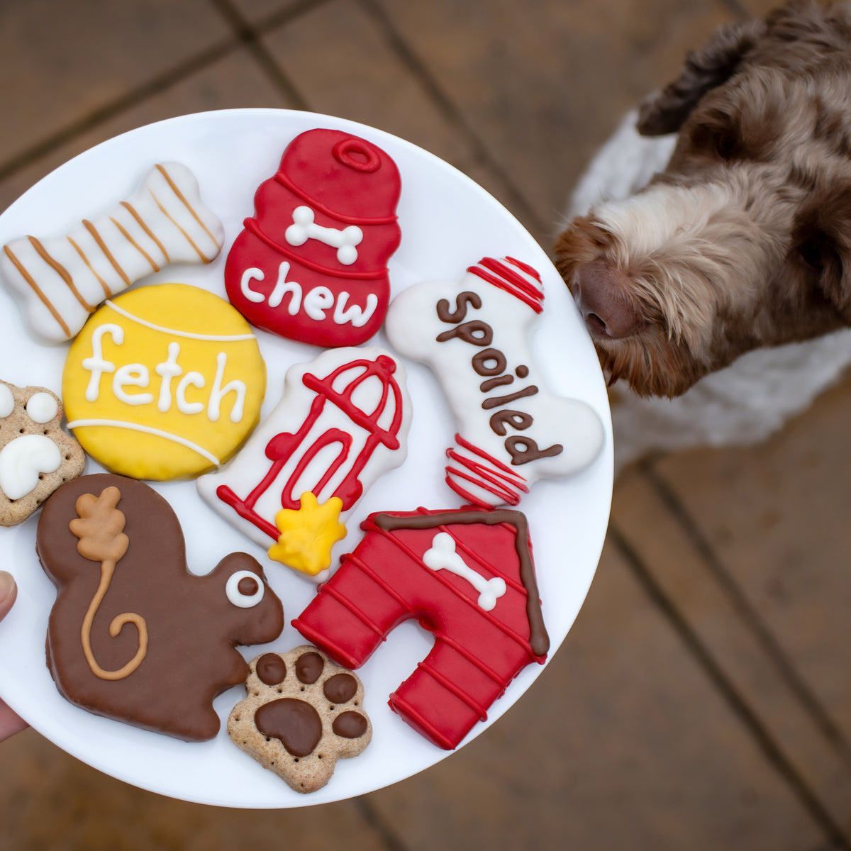 Chew on this! Toy | Canine Classics