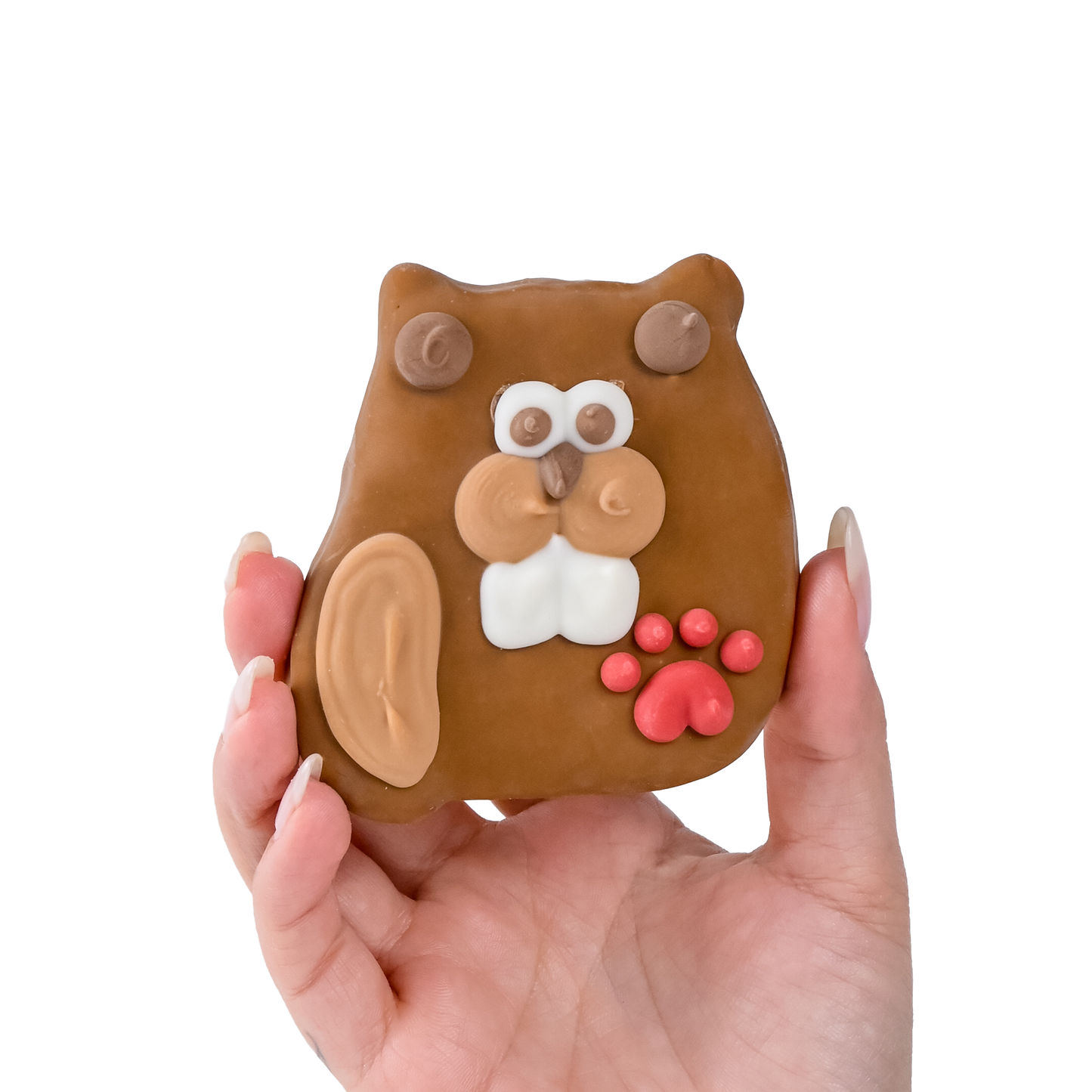 Beavertail Buddy | Canada Day