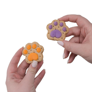 Let the Paw-nanigans Begin! | Natural Birthday