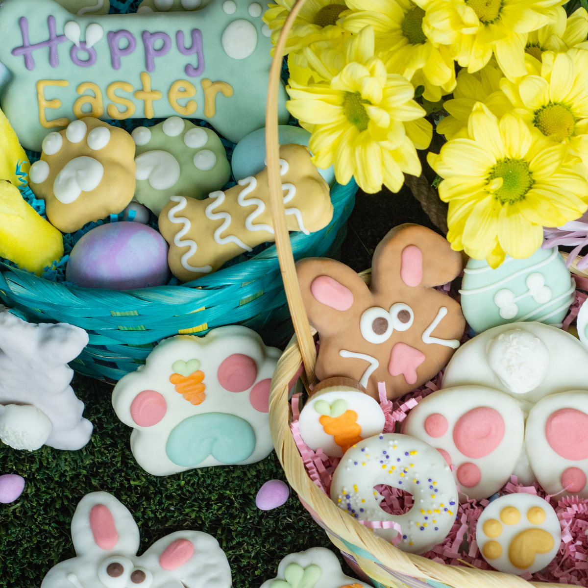 Hoppy Easter Bone | Easter