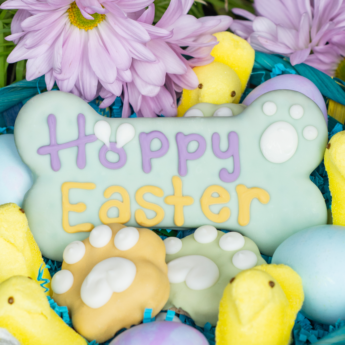 Hoppy Easter Bone | Easter