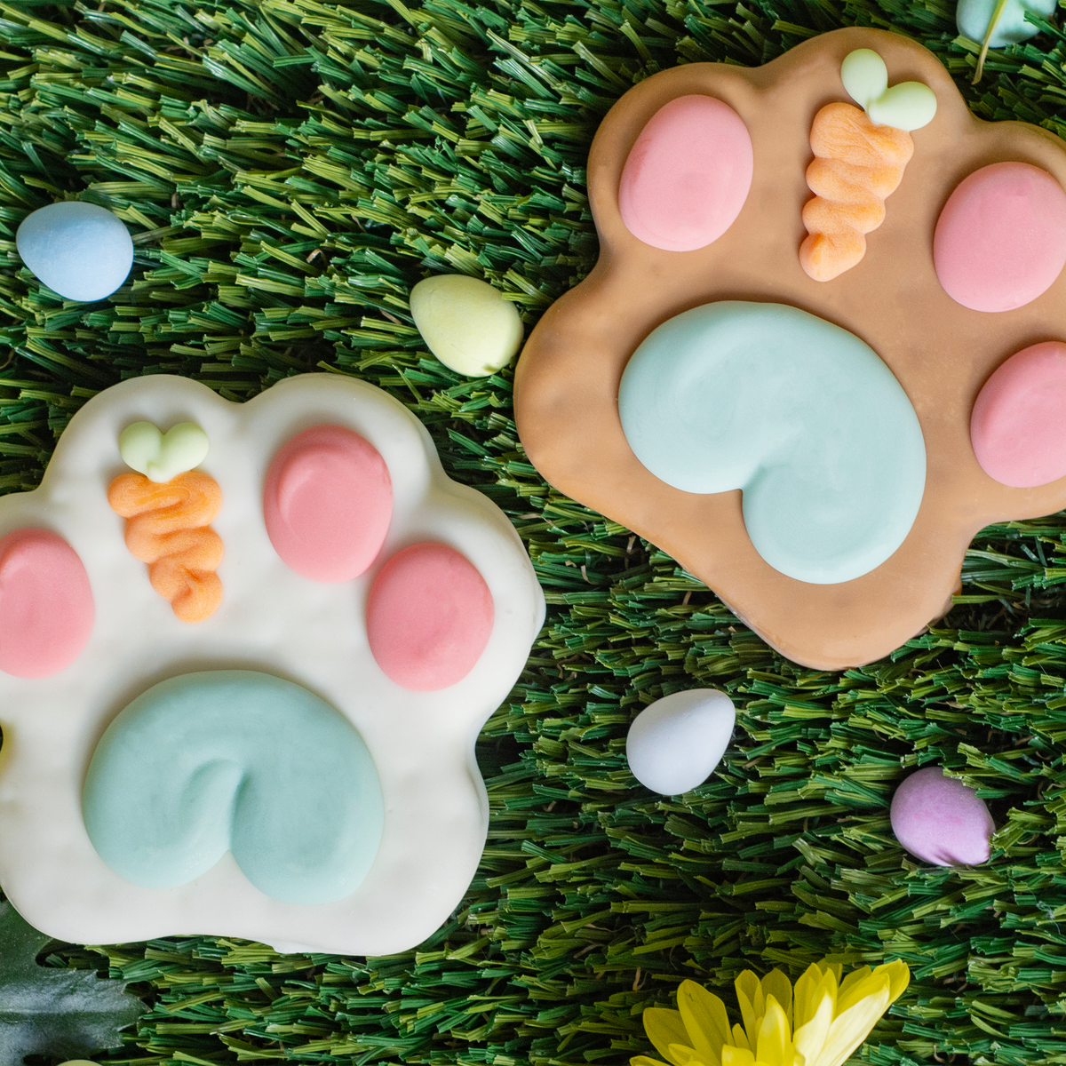 Carrot Patch Paws | Easter