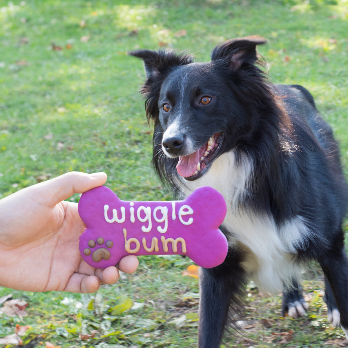 Wiggle Bum Bone | Everyday Naturals