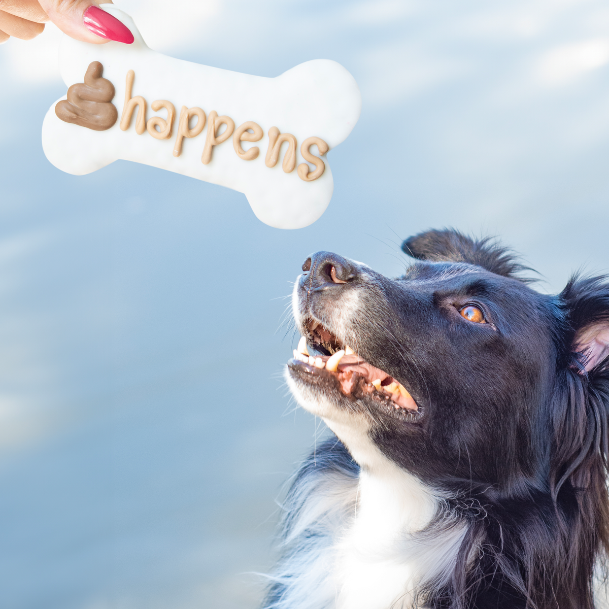 Shit Happens Bone | Everyday Naturals