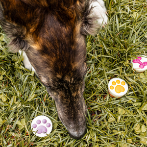 Trick or Treat Sized Cups | Halloween