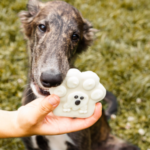 NATURAL The Ghoul Squad | Halloween