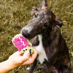 Mr & Mrs Frank N. Stein | Halloween