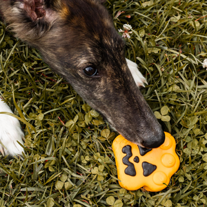 NATURAL The Ghoul Squad | Halloween