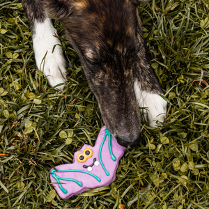 Who's Batty? | Halloween