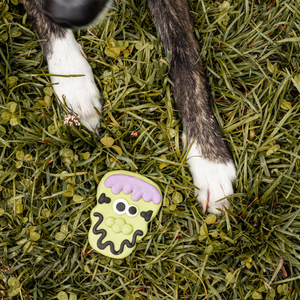 Mr & Mrs Frank N. Stein | Halloween