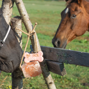 Go Lick Salt 6" Bone | Cowboy