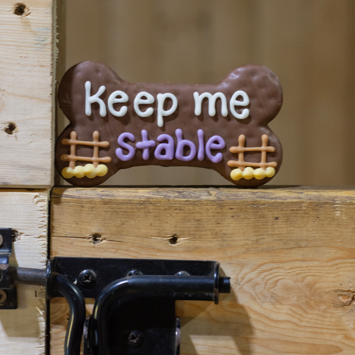Keep Me Stable 6" Bone | Farm Fresh