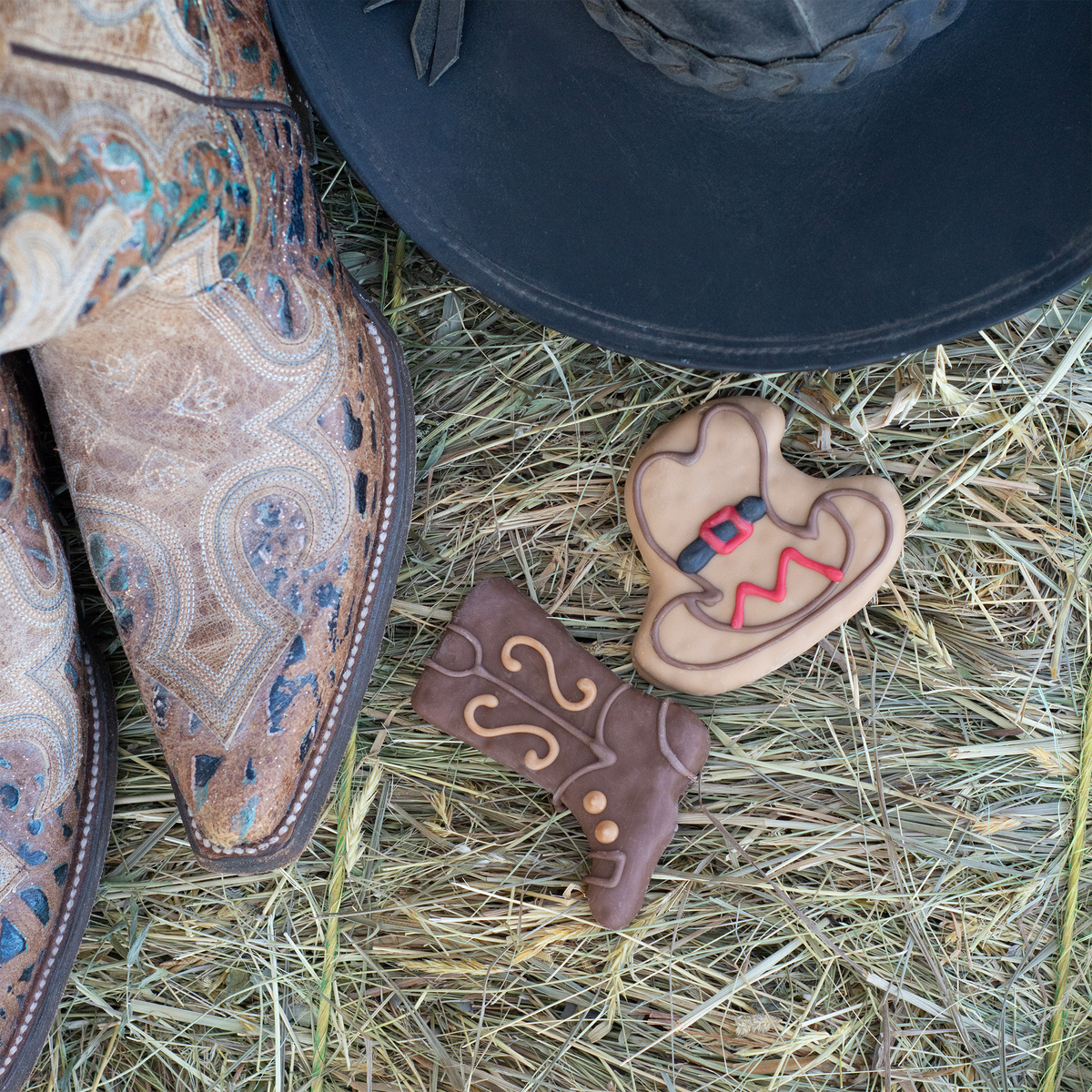 Equestrian Necessities | Farm Fresh