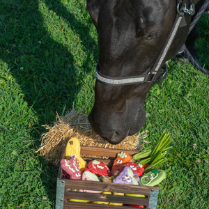 My Heart Beets for Horses | Cowboy