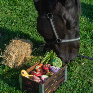 Pear-fect Treat After a Long Ride | Cowboy