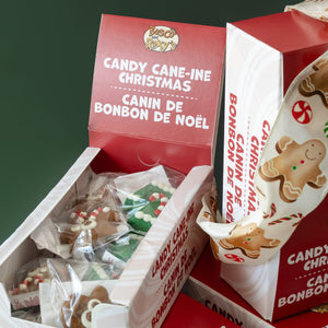 Ugly Sweater & Rein-Dog Duo | Christmas Pre-Packaged