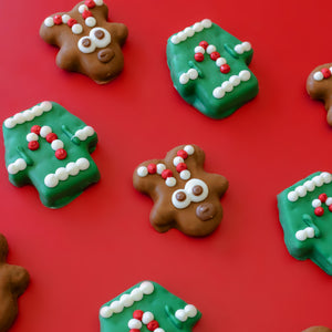 Ugly Sweater & Rein-Dog Duo | Christmas Pre-Packaged