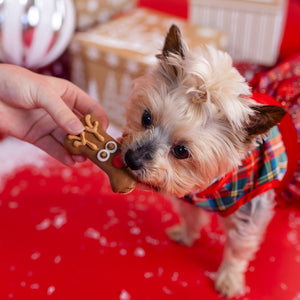 The Ho Ho Herd | Christmas Pre-Packaged