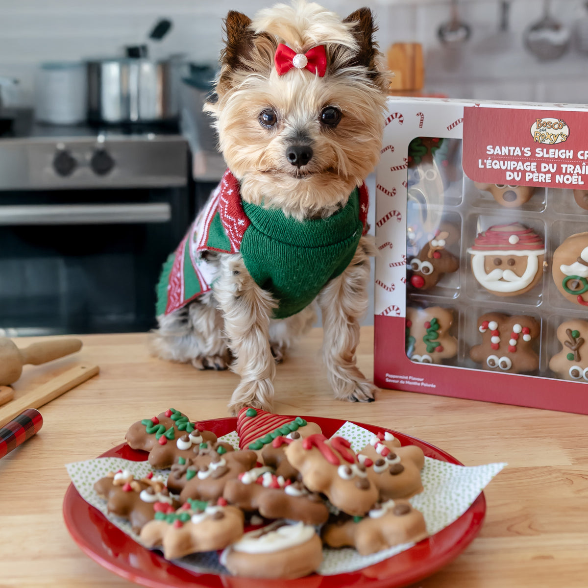 Santa's Sleigh Crew | Christmas Pre-Packaged