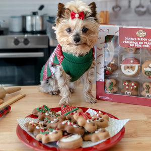 Santa's Sleigh Crew | Christmas Pre-Packaged