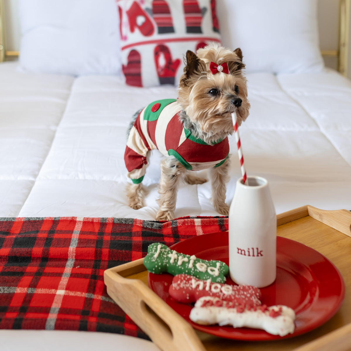 Naughty, Nice, I Tried! 3pk | Christmas Pre-Packaged