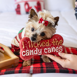 I Licked The Candy Canes Large Bone | Christmas Pre-Packaged