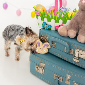 Mr. Hopper & Mrs. Flopper | Easter