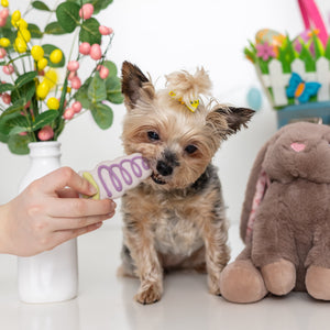 Carrot Kisses | Easter