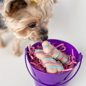 Eggstra Gnawsome Bones | Easter