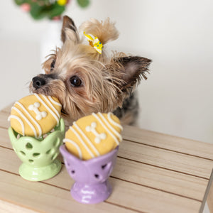 Yolks on You! | Easter